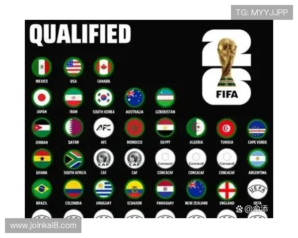 2026年世界杯举办国家排序的评选标准与申办流程全面解析